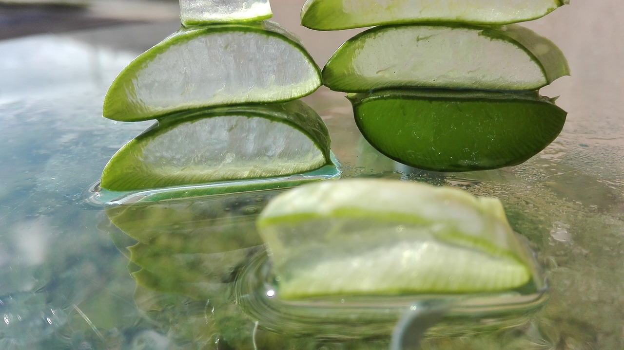 Kako aloe vera utiče na zdravlje kože